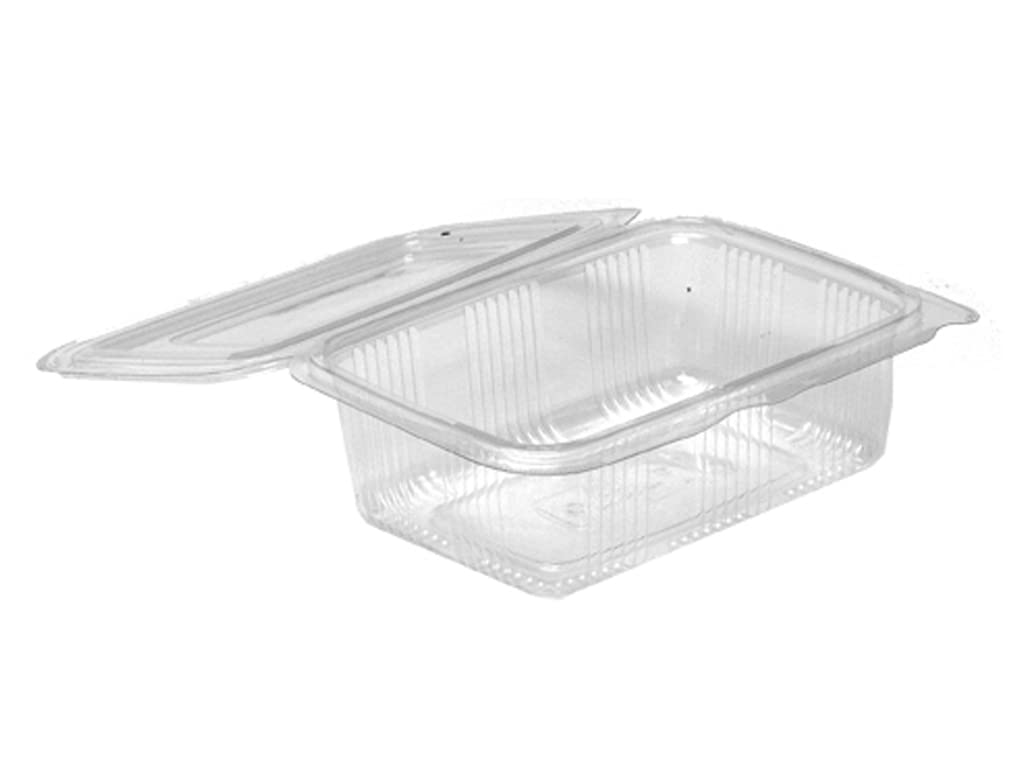 Hinged Rectangular Containers with Lid, Disposable Transparent Reusable Air Tight Box, for Kitchen Storage, Serving Food, Home, Outdoor, Travel