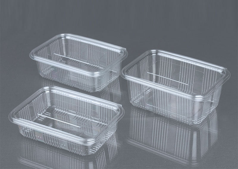 Hinged Rectangular Containers with Lid, Disposable Transparent Reusable Air Tight Box, for Kitchen Storage, Serving Food, Home, Outdoor, Travel