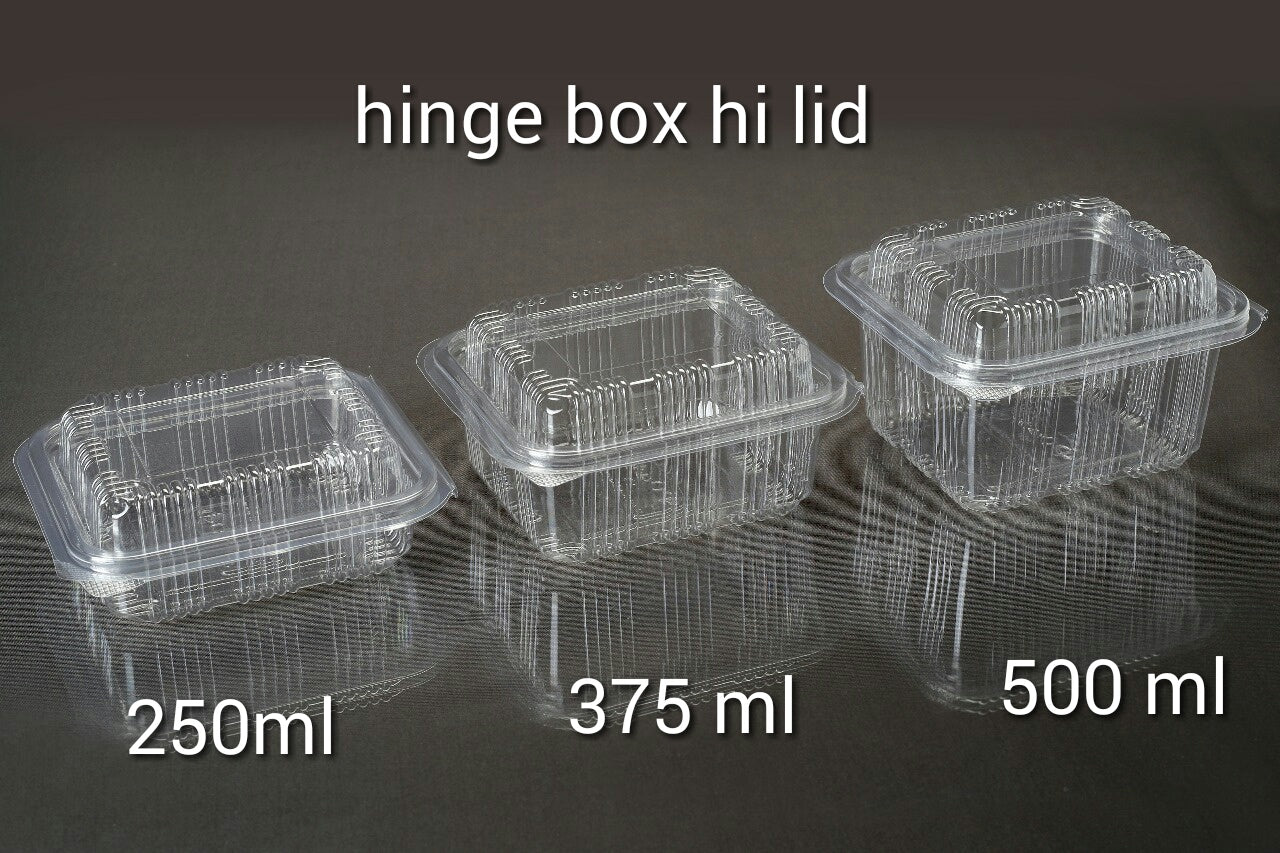 Hinged Rectangular Containers with Lid, Disposable Transparent Reusable Air Tight Box, for Kitchen Storage, Serving Food, Home, Outdoor, Travel