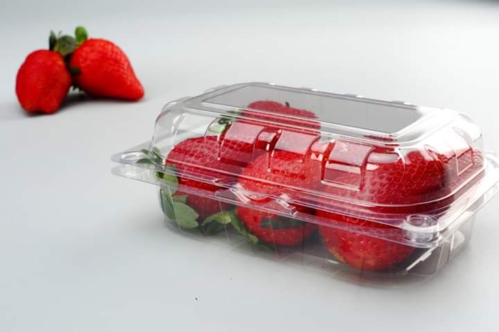 Strawberry Packaging Empty Punnet