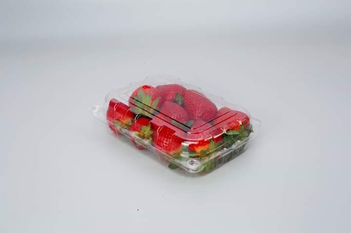 Strawberry Packaging Empty Punnet