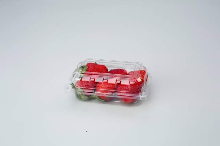 Strawberry Packaging Empty Punnet