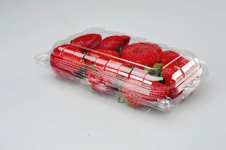 Strawberry Packaging Empty Punnet