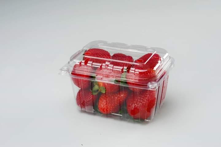 Strawberry Packaging Empty Punnet