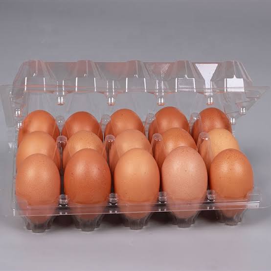 Egg Tray