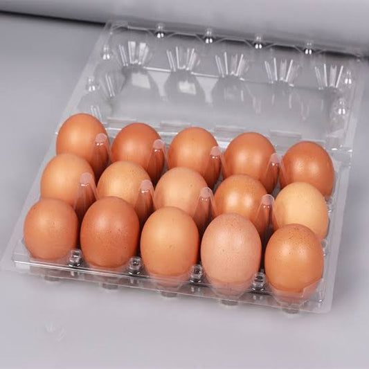 Egg Tray