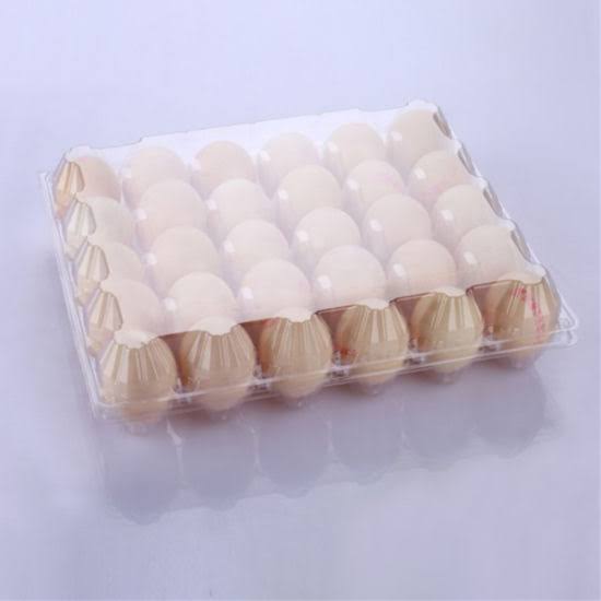 Egg Tray