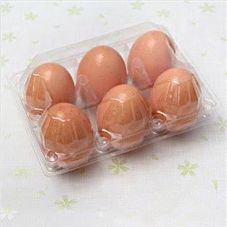 Egg Tray