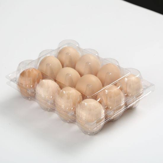 Egg Tray