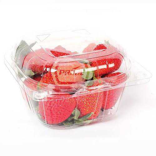 Strawberry Packaging Empty Punnet